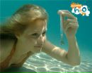 Рікі H2o фотография #33 (источник - https://vk.com/id141343444)