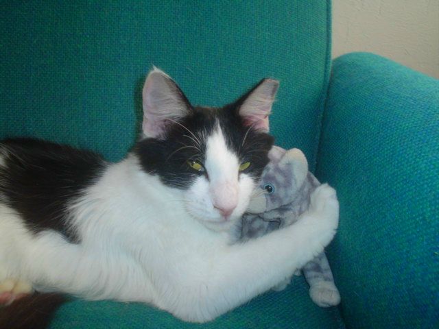 Igor Tarasov фото №48