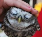 Фотография Зеленова Алексея