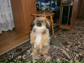 Вітя Карбовський фотография #16 (источник - https://vk.com/id77691111)