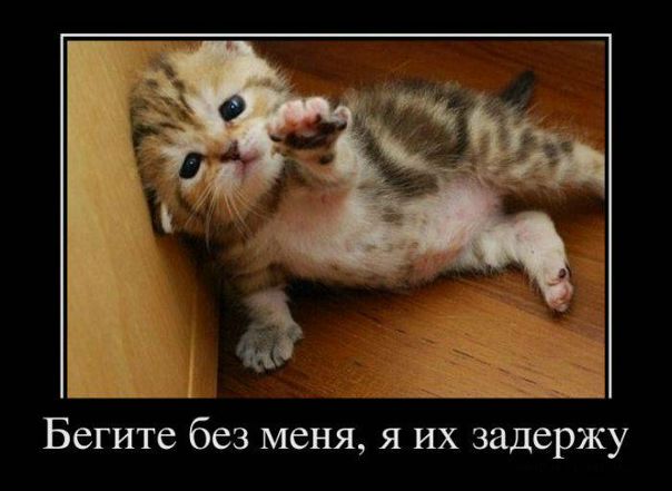 Владимир Поляков фото №39