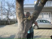 Діана Сеник фотография #27 (источник - https://vk.com/id95876908)