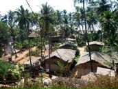 Игорь Ерохин фотография #13 (источник - https://vk.com/id1961268)