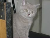 Фотография Сусловой Татьяны