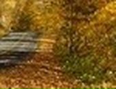 Ірина Тихоненко фотография #38 (источник - https://vk.com/id112132375)