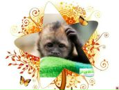 Фотография Никитина Танюшка