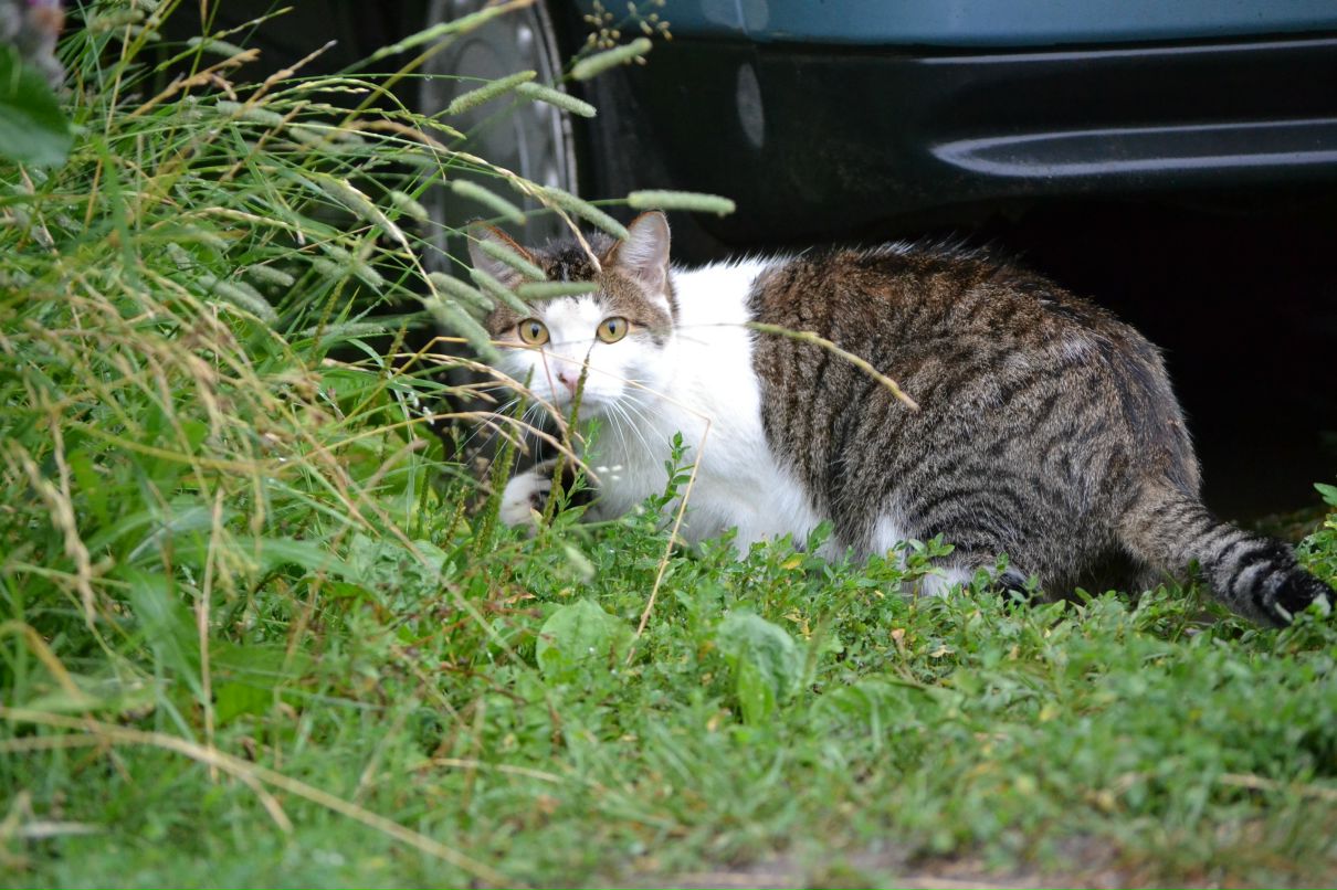 Константин Басалаев фотография #38