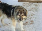 Фотография Маховой Галины