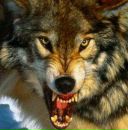 Фотография Мимеева Станислава