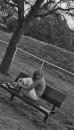 Фотография Вальман Юльчик