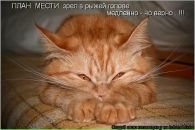 Фотография Власовой Светланы