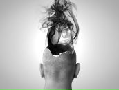 Фотография Гоцмана Давида