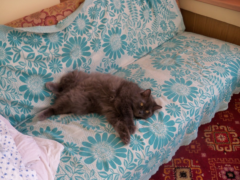 Max Drobot фотография #48