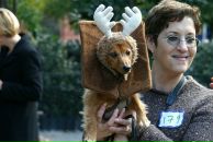 Фотография Stepanova Olga