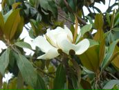 Фотография Голосок-Заболоцкой Татьяны