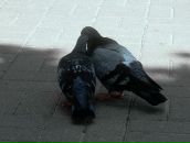 Фотография Ишмяковой Екатерины