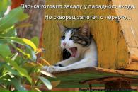 Иришка Венцова фотография #7 (источник - https://vk.com/id4664078)