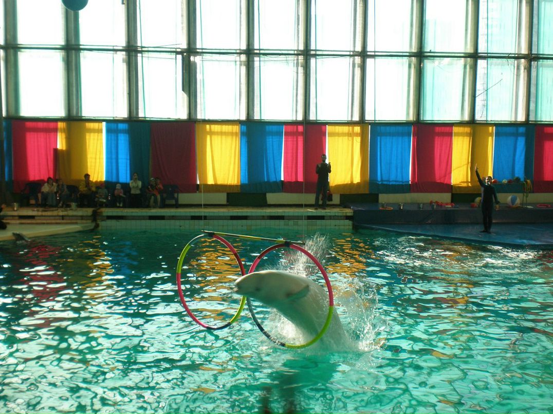 Ирина Мальцева фотография #43