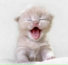 Фотография Суппес Марии