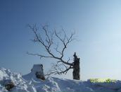 Фотография Огибалова Анна