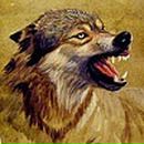 Фотография Галямовой Динары