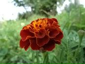 Юліана Никуляк фотография #48 (источник - https://vk.com/id38355161)