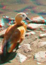 Микола Кусік фотография #47 (источник - https://vk.com/id57553778)