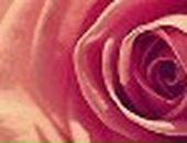 Маша Білоросюк фотография #13 (источник - https://vk.com/id123003306)