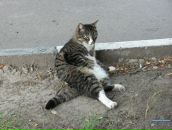 Фотография Матвеева Евгения