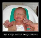 Фотография Онегина Артёма