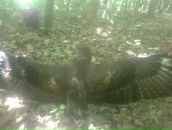 Віктор Беребелюх фотография #12 (источник - https://vk.com/id65390890)