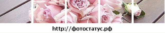 Інна Петльована фотография #32 (источник - https://vk.com/id106113397)