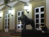 Фёдор Орлов фотография #5 (источник - https://vk.com/id2010591)