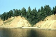 Юрий Infinity фотография #44 (источник - https://vk.com/id857300)