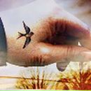 Фотография Romanovna Daria