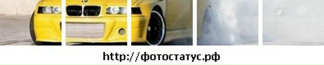 Вася Пупкін фотография #1