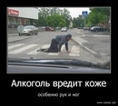 Сашко Піскун фотография #10 (источник - https://vk.com/id150759131)