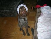 Фотография Пробивной Дарьи