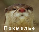 Штефко Зарічний фотография #1