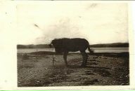 Вадік Bondarovski фотография #18 (источник - https://vk.com/id23080740)