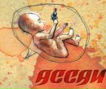 Фотография Новикова Ивана