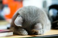 Станислав Радаев-Елевин фотография #41 (источник - https://vk.com/id7404428)