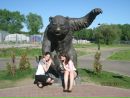 Фотография Анфаловой Анастасии
