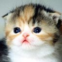 Іванна Оршівська фотография #6 (источник - https://vk.com/id54990160)