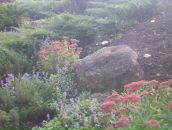 Анастасія Балюк фотография #49 (источник - https://vk.com/id110575314)