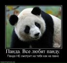 Фотография Жгуна Максима