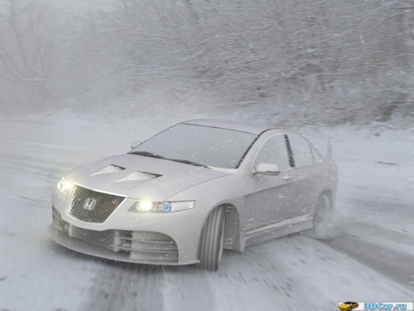 Дмитрий Лукашенко фотография #11