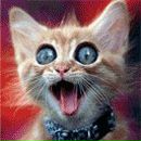 Фотография Ильинского Тимофея