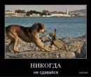 Ілоха Позитифне фотография #30 (источник - https://vk.com/id73936481)