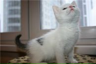 Фотография Егоричевой Александры